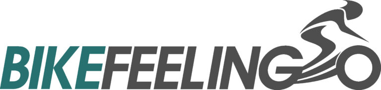 logo_bikefeeling_2021-CMYK-01